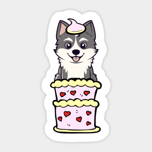 Husky dog Jumping out of a cake Sticker